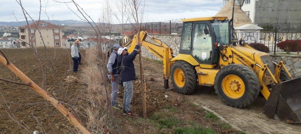 100. Yıldönümünde 100 Adet Fidan Dikildi