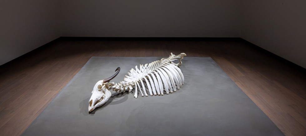 16. İstanbul Bienali’nde Gelibolulu Sanatçı; Ozan Atalan