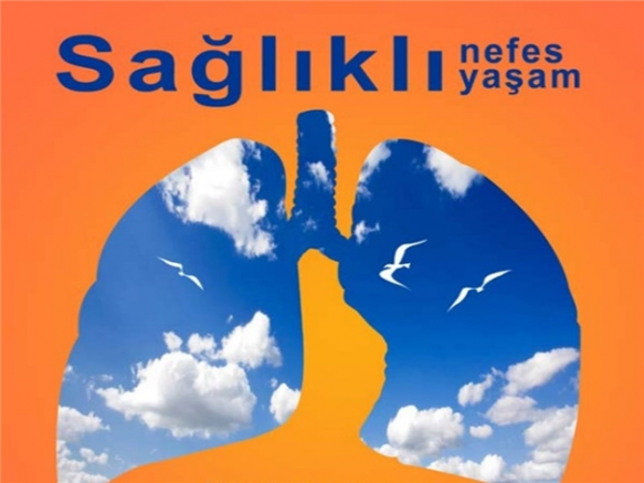 17 Kasım Dünya Koah Günü