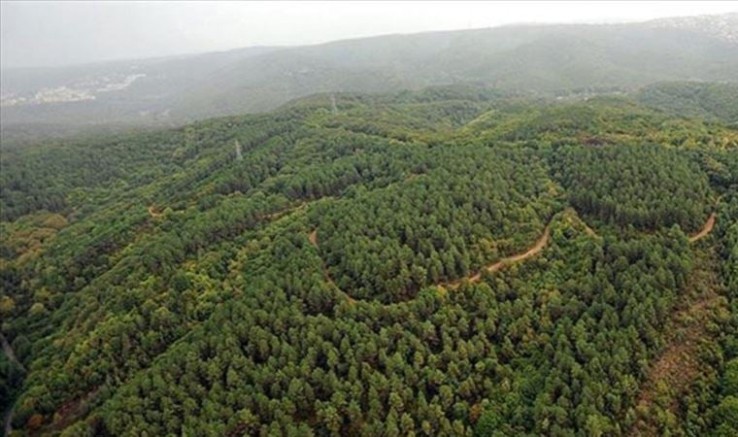 31 Ekim’e Kadar Ormanlara Girişler Yasak!