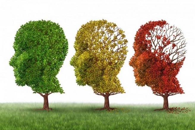 ‘Alzheimerle Mücadelenin Tam Zamanı!’