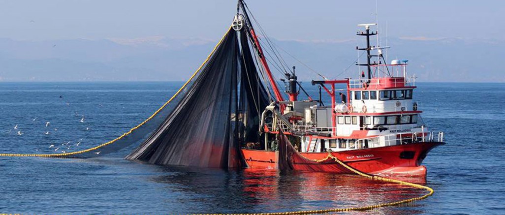 Balık Avı Yasağı Başladı