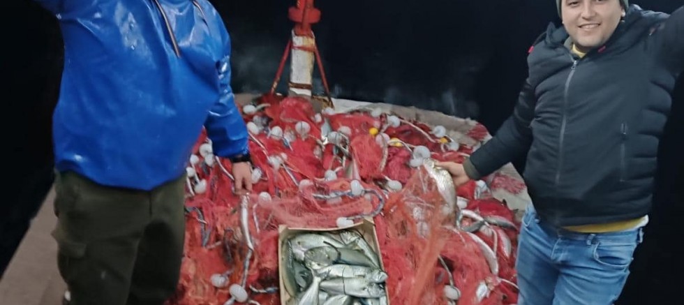 Balıkçılar Bin 500 Adet Lüfer Avladı