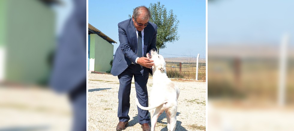 Başkan Özacar'dan 'Dünya Hayvanları Koruma Günü' mesajı