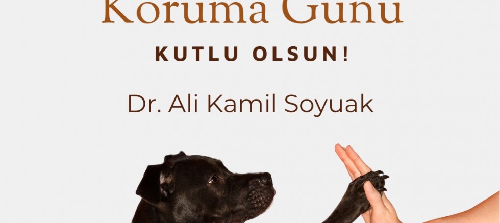 Başkan Soyuak’tan Hayvanları Koruma Günü Mesajı