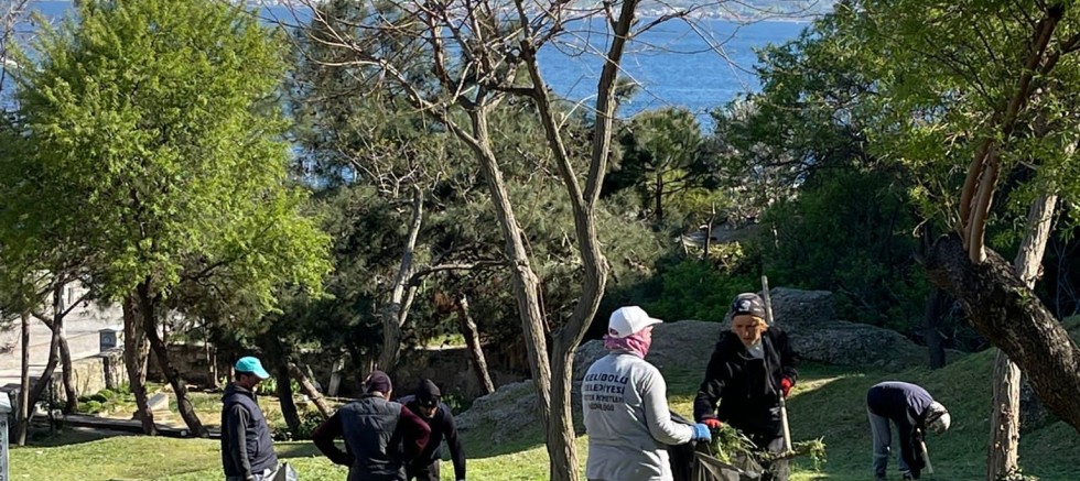 Belediye, İlçemizi Yaz Mevsimine Hazırlıyor