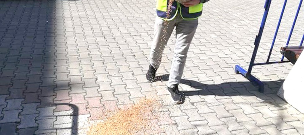 Belediye Sokak Hayvanlarını Unutmuyor