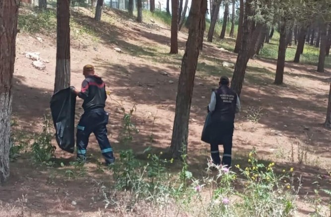Belediyeden Çamlıkta Temizlik