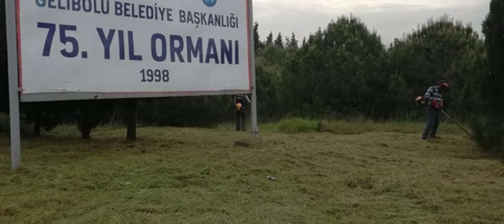 Belediyeden Detaylı Temizlik Çalışması