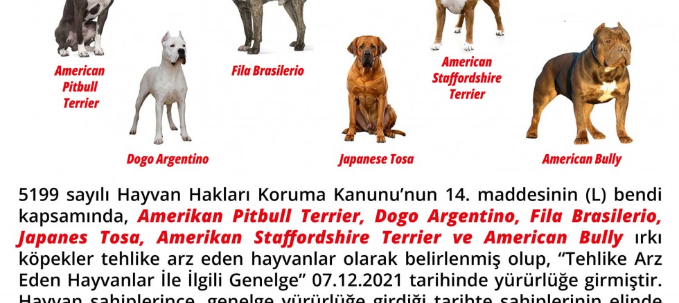 Belediyeden Önemli Duyuru!