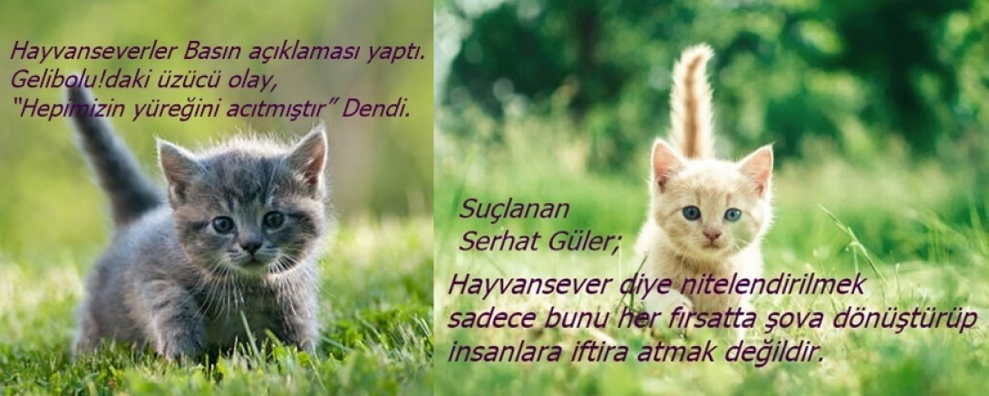 Bir Taraf ‘Eziyet’ İddiasında, Bir Taraf ‘İddialar Asılsız’ İddiasında