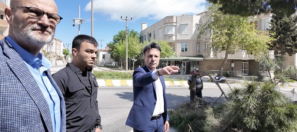 ‘Bu Kentte Ağaç Kesilmesine De Provakasyon Yapılmasına Da İzin Vermem!’