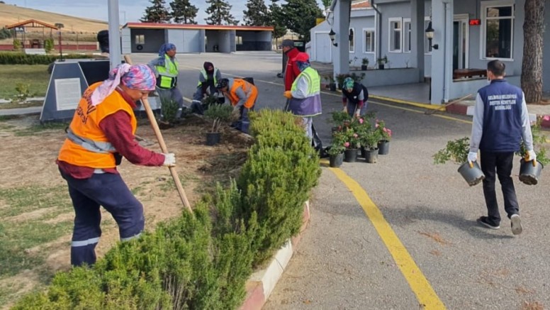 Budama ve Bakım Çalışmaları Sürüyor