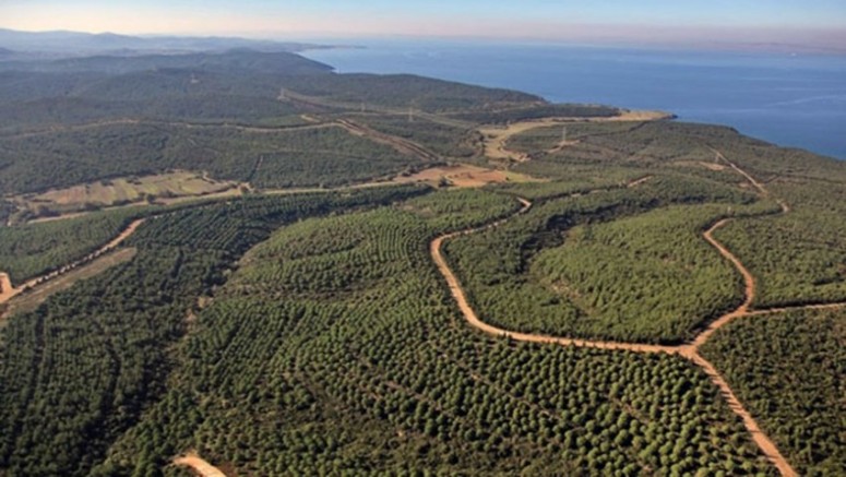 Çanakkale’de Ormanlık Alanlara Girişler Yasaklandı