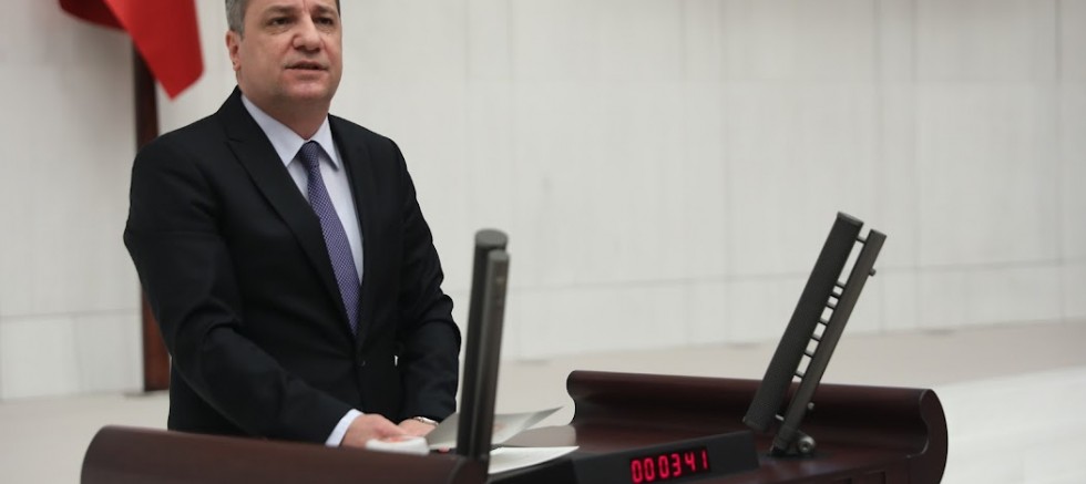 Ceylan; “Kirpiler Neden Devriliyor?”