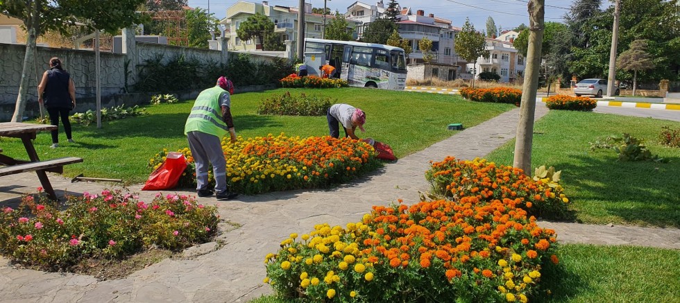 Çiçekler Rengarenk Görüntüsü İle Mutluluk Veriyor