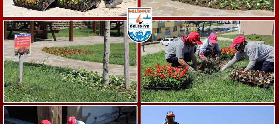 Çiçekler Toprakla Buluşuyor