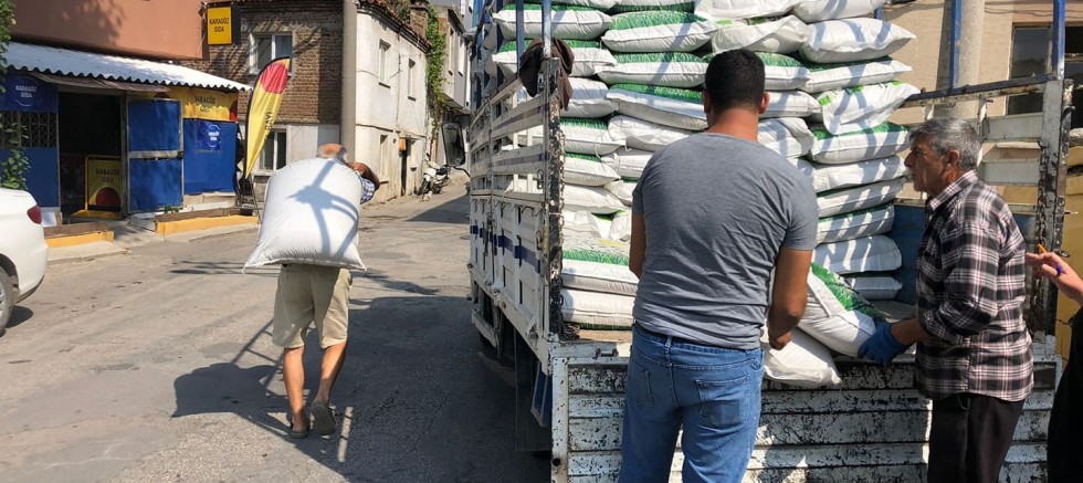 Çiftçilere Çaramba Otu Dağıtıldı