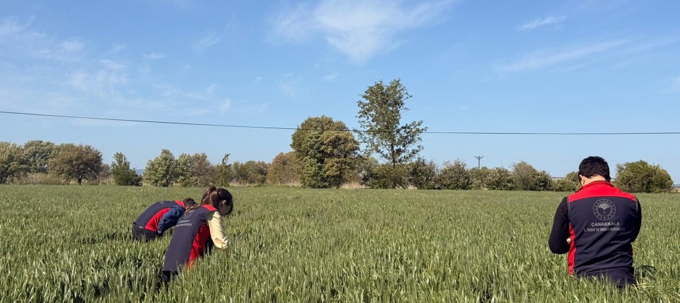 Çiftçilere Süne Uyarısı: ‘İlanı Bekleyin, Doğayı Koruyun’
