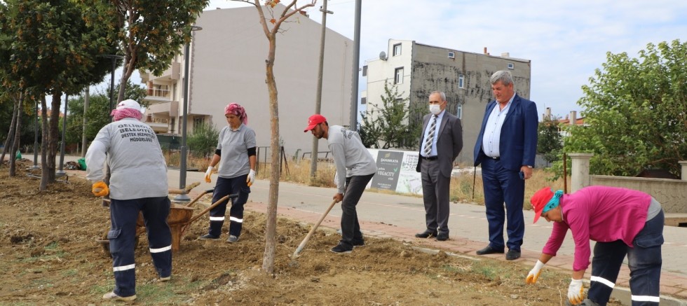 Çoban, İncelemelerde Bulundu