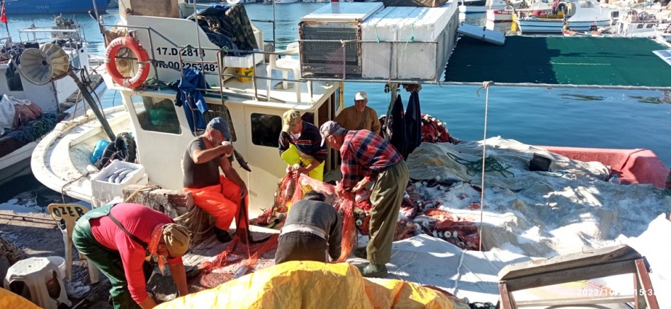Denizden Palamut Fışkırdı