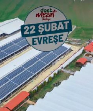 Dost Mezat Trakya Evreşe’de Yapılacak