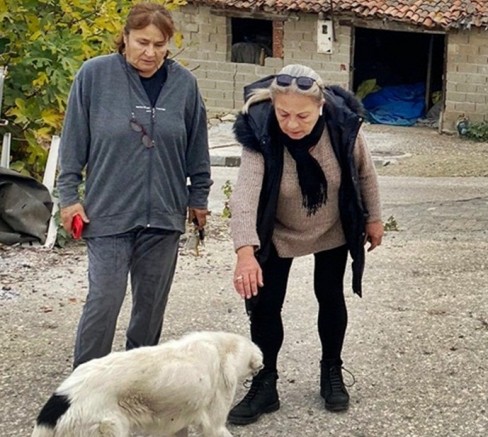Dost Patilerden Köpek Zehirlenmelerine Tepki