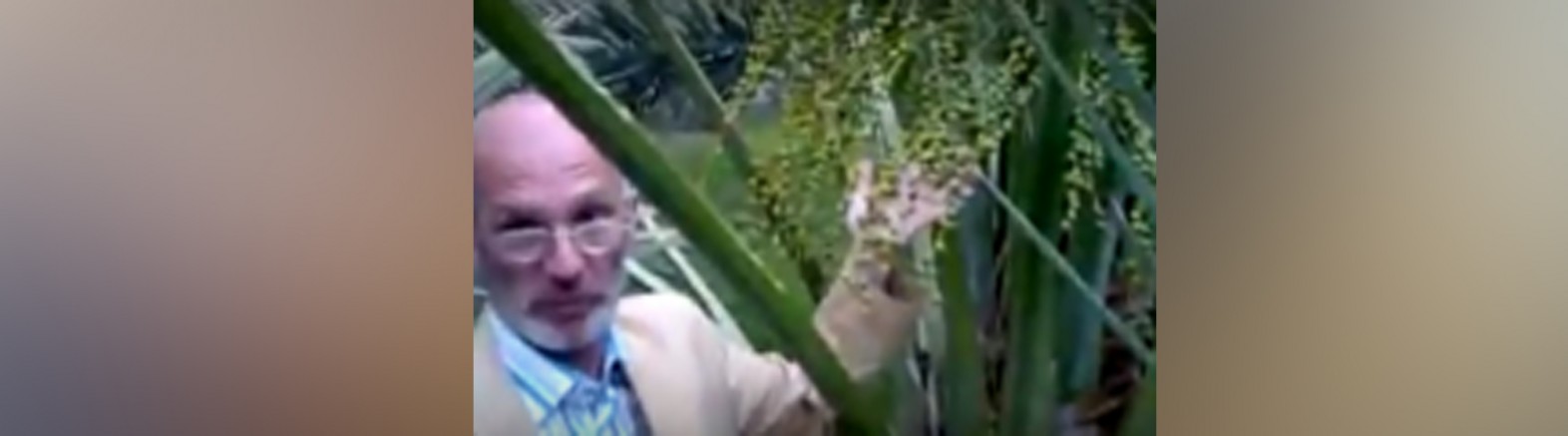 EVREŞE SAADET PARTİSİ BELEDİYE BAŞKAN ADAYI HAMİT PUHALOĞLU’NUN YAZISI