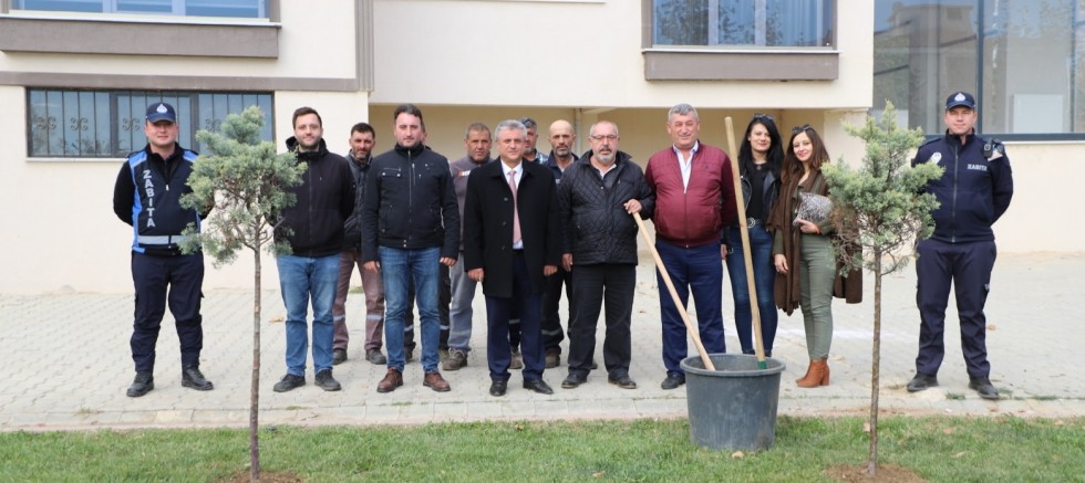 Gelibolu Belediyesi Ağaç Dikmeye Devam Ediyor