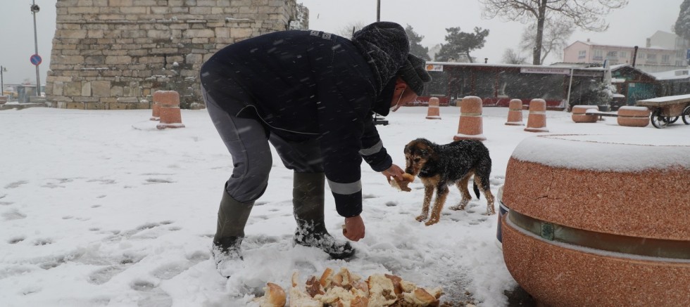 Gelibolu Belediyesi Can Dostları Unutmadı