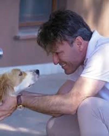 Gelibolu Belediyesi O Köpeği Sahiplendi
