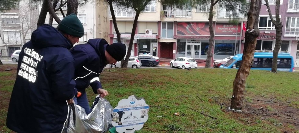 Gelibolu Belediyesi Sokak Hayvanlarını Unutmadı