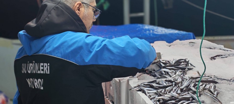 Gelibolu’da Su Ürünleri Denetimleri Devam Ediyor