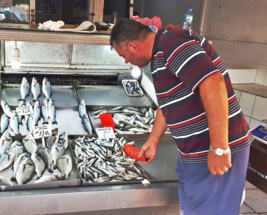 Gelibolu Sardalyesi Levreği Tahtından İndirdi