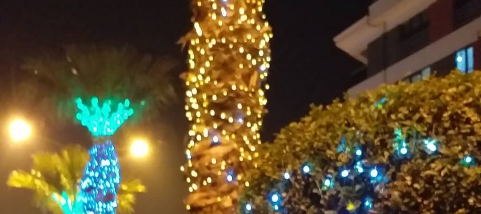 Gelibolu Yeni Yıla Hazırlanıyor
