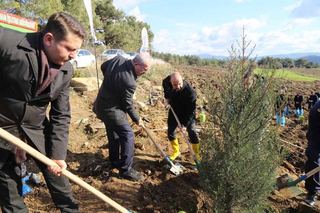 GMKA Hatıra Ormanı İçin Fidanlar Toprakla Buluştu
