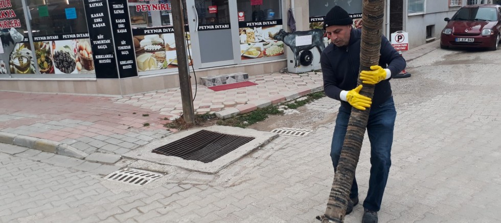 Hamzakoy’da Kanalizasyon ve Yağmur Kanalları Temizlendi