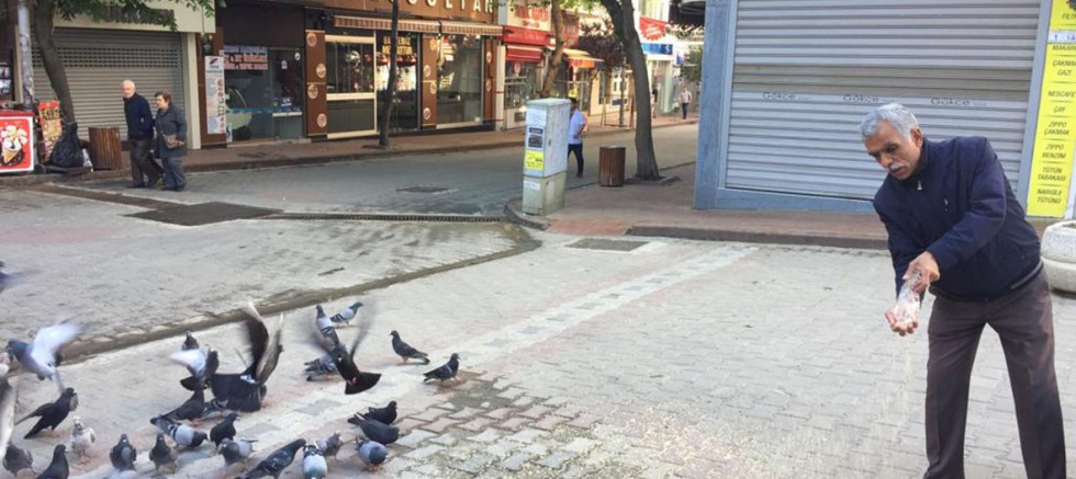Her Gün Kilolarca Yem ile Kuşları Besliyor