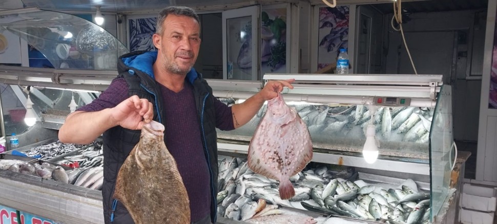 Kalkan, Lüferin Tahtın  Ele Geçirdi: Kilo 500