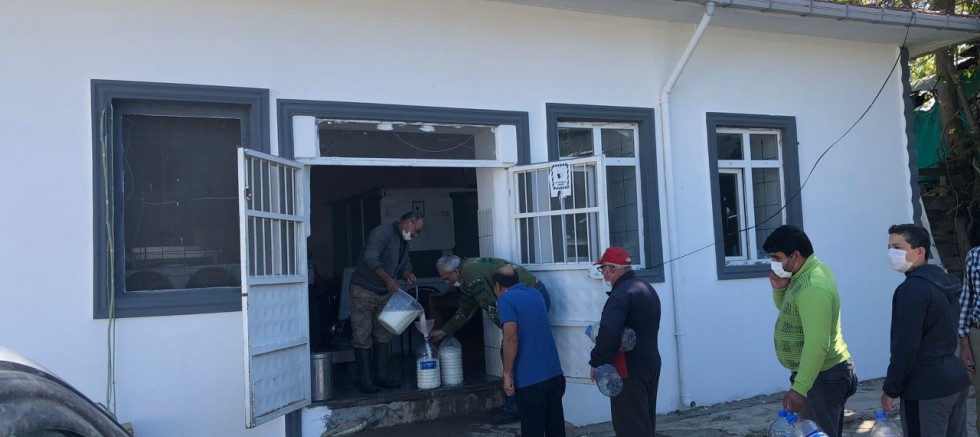Kalkınma Kooperatifi Ücretsiz Süt Dağıttı