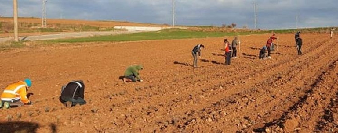 Kavakköy Belediyesi Lavanta Yağı Satacak
