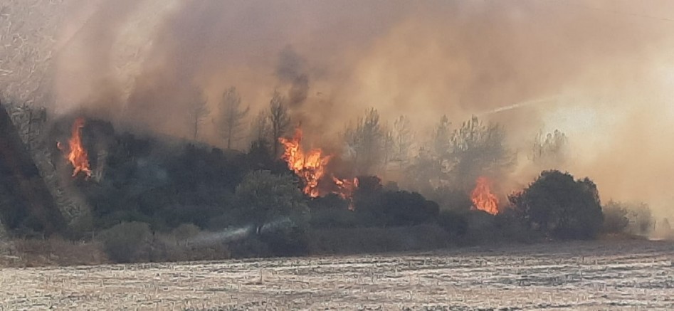 Kavakköy’de Yine Orman Yangını