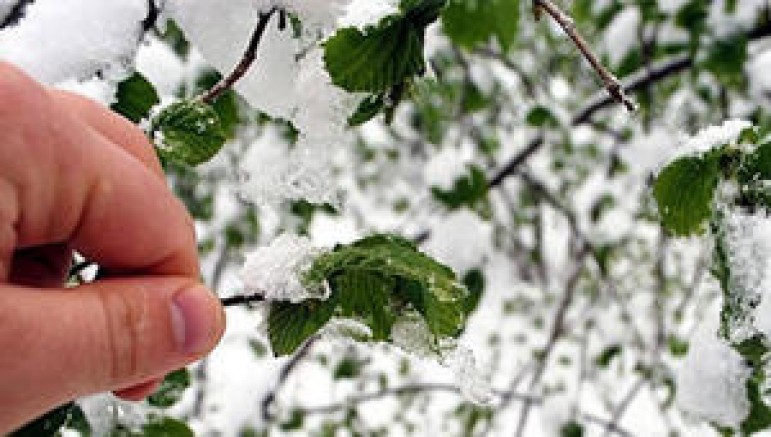Kaymakamlıktan Çiftçilere Uyarı!