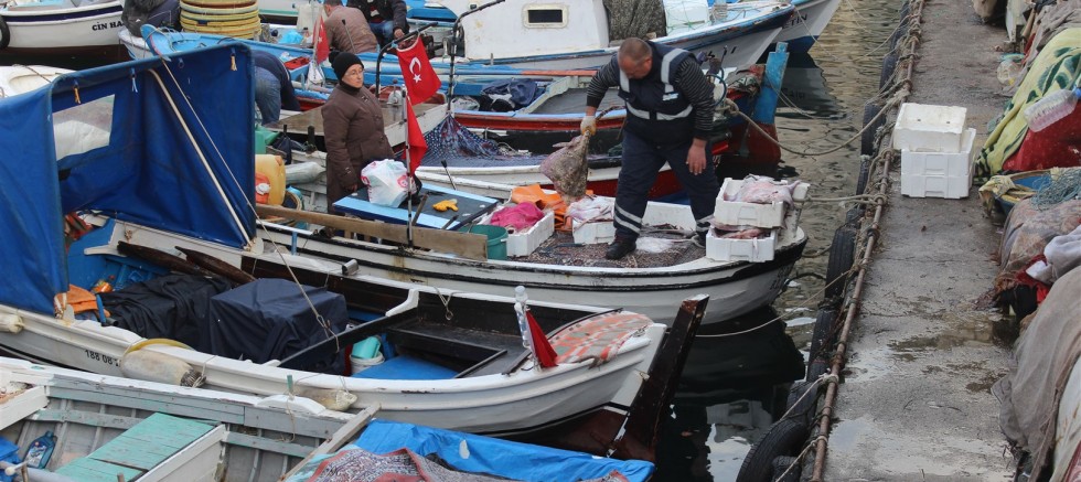 KöPEK BALIĞI VE ORKiNOS YAKALADI