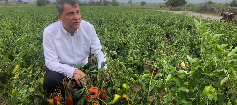 “Köylü Gelirden Vazgeçmiş 150 Bin Liralık Borcunun Derdinde”