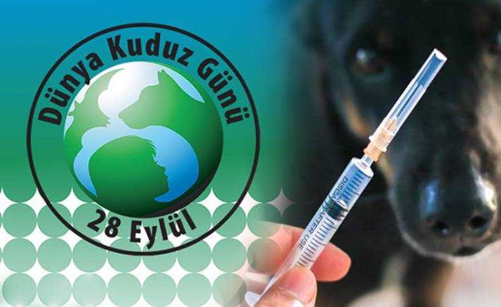 “Kuduz Riskli Temas Sonrasında; En Önemli Adım Yara Bakımıdır”