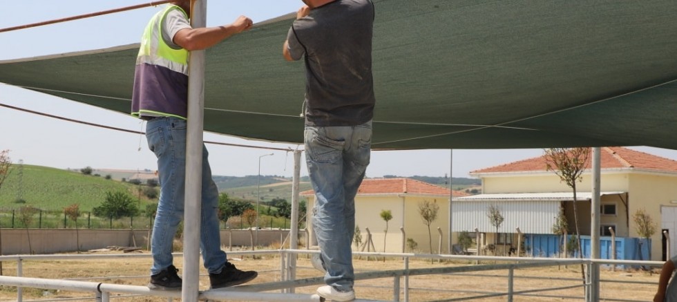 Kurban Satış Alanında Hazırlıklar Başladı