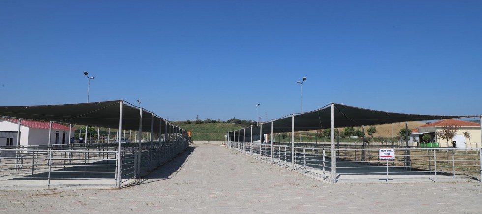 Kurban Satış ve Kesim Yerleri Hazırlandı