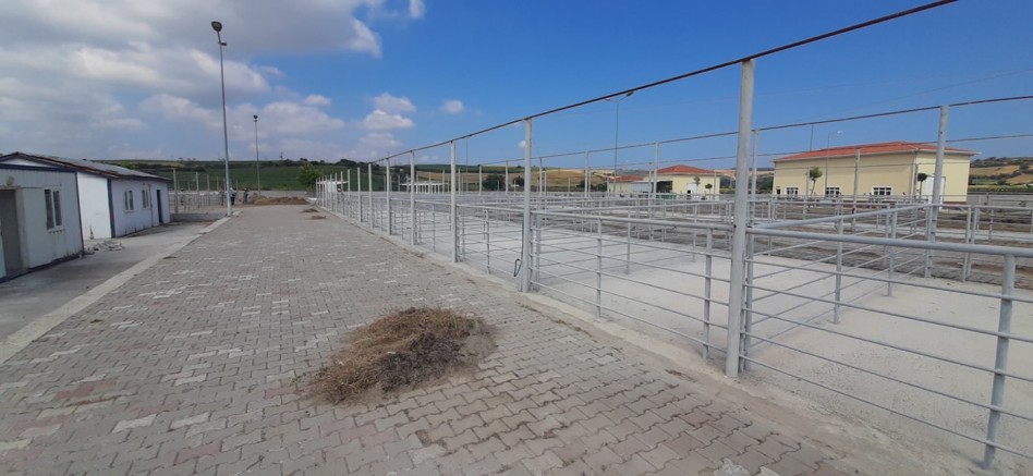Kurban Satış Yerleri Hazırlanıyor
