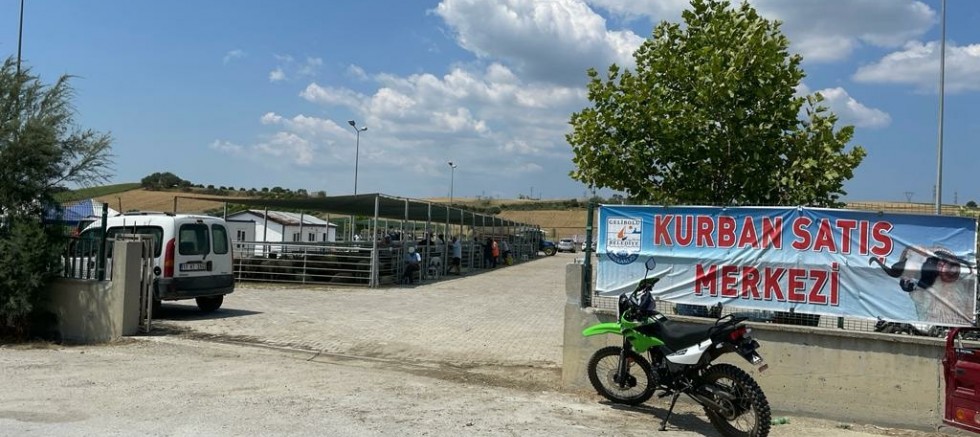 Kurbanlıklar Görücüye Çıktı